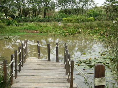 08.jpg 08.jpg