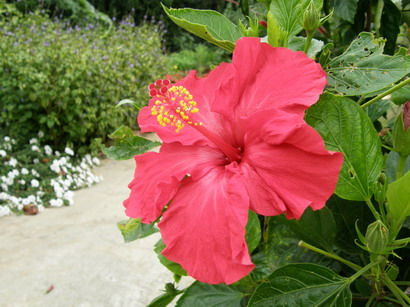 20.jpg 20.jpg
