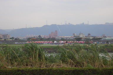 31.jpg 31.jpg