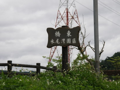 29.jpg 29.jpg