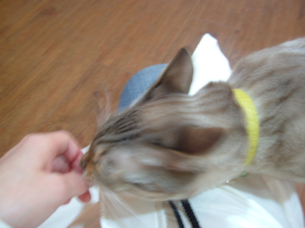 DSCF2060.JPG