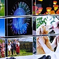 IMG_9945_resize.JPG