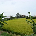 DSC08614.JPG