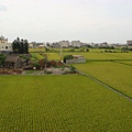 DSC08615.JPG
