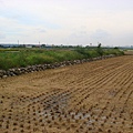 DSC08626.JPG