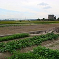 DSC08629.JPG