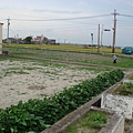DSC08630.JPG