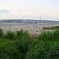 DSC08635.JPG