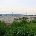 DSC08638.JPG