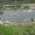 DSC08646.JPG