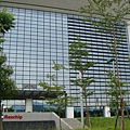 DSC08656.JPG