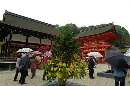 P1100434.JPG P1100434.JPG