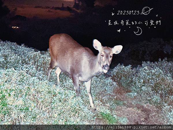 【來去奇萊主北】D1奇萊山登山口-黑水塘山屋-成功山屋-稜線