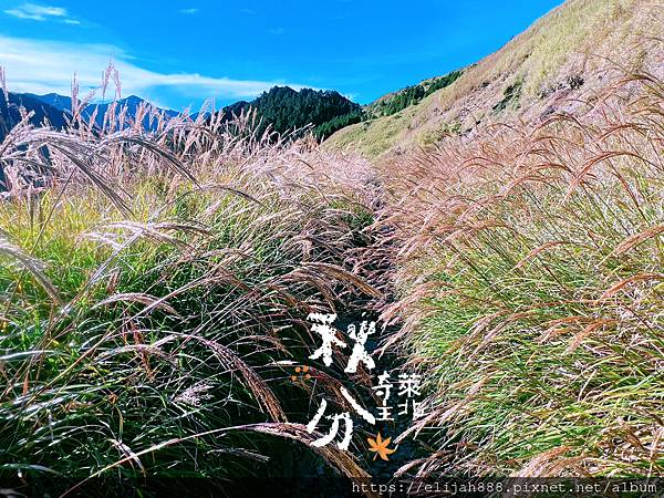 【來去奇萊主北】D2-3成功山屋住一晚/小奇萊/奇萊登山口/