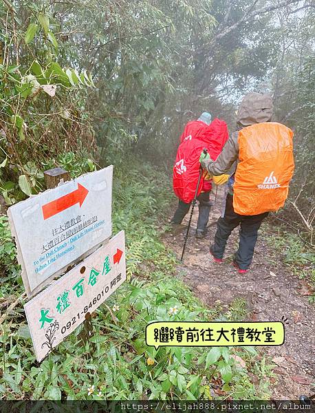 【花蓮秀林鄉健行】雨中漫遊大禮大同步道/兩天一夜/夜宿椰果的