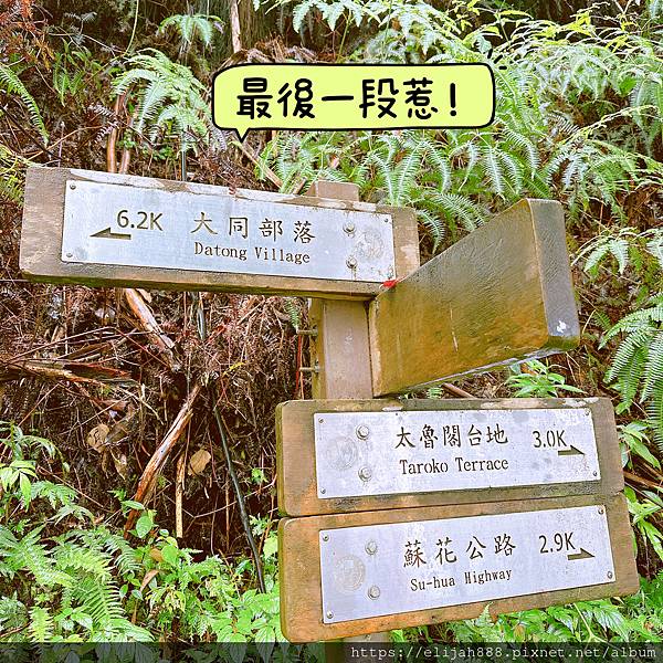 【花蓮秀林鄉健行】雨中漫遊大禮大同步道/兩天一夜/夜宿椰果的