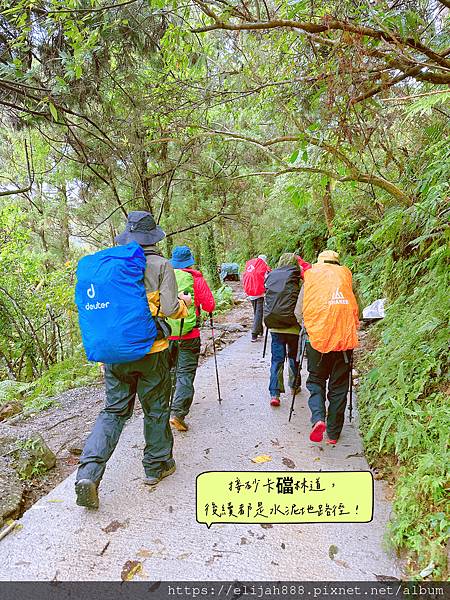 【花蓮秀林鄉健行】雨中漫遊大禮大同步道/兩天一夜/夜宿椰果的