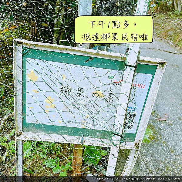 【花蓮秀林鄉健行】雨中漫遊大禮大同步道/兩天一夜/夜宿椰果的