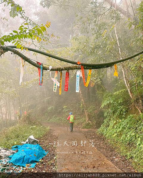 【花蓮秀林鄉健行】雨中漫遊大禮大同步道/兩天一夜/夜宿椰果的