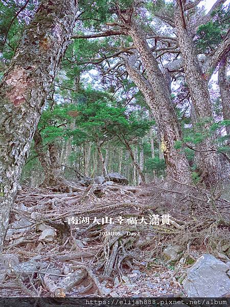 【帝王之山4天3夜】南湖大山雲海.聖稜線吃到飽之審馬陣山/南