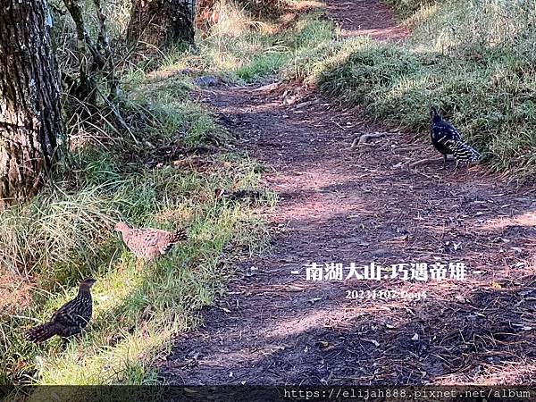 【帝王之山4天3夜】南湖大山之多加屯山/方便屋洗漱/最終日/