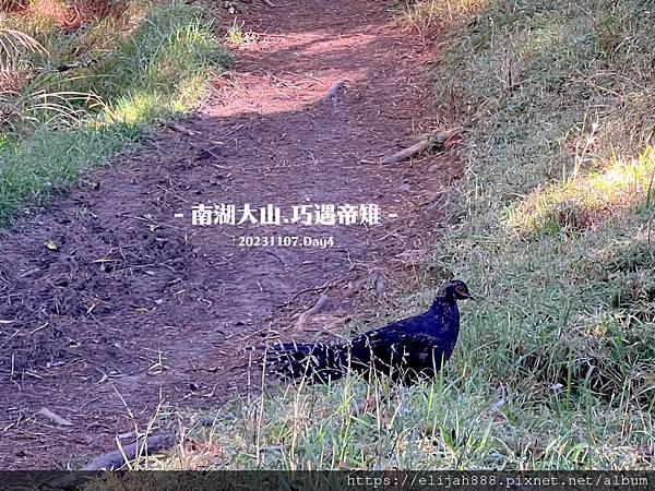 【帝王之山4天3夜】南湖大山之多加屯山/方便屋洗漱/最終日/