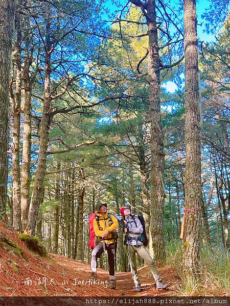 【帝王之山4天3夜】南湖大山之多加屯山/方便屋洗漱/最終日/