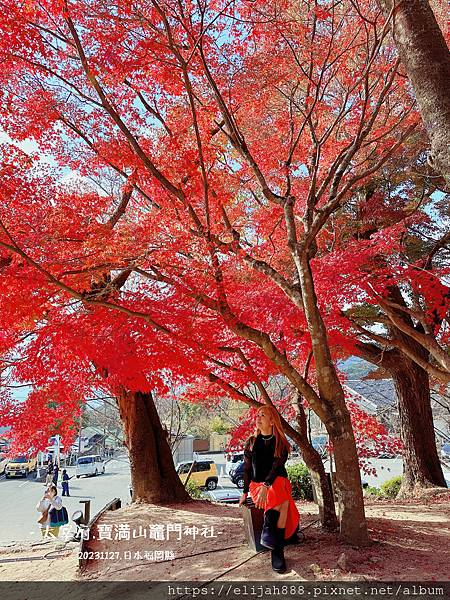 【2023九州狩獵紅葉-1】Budget租車/海老味拉麵 お