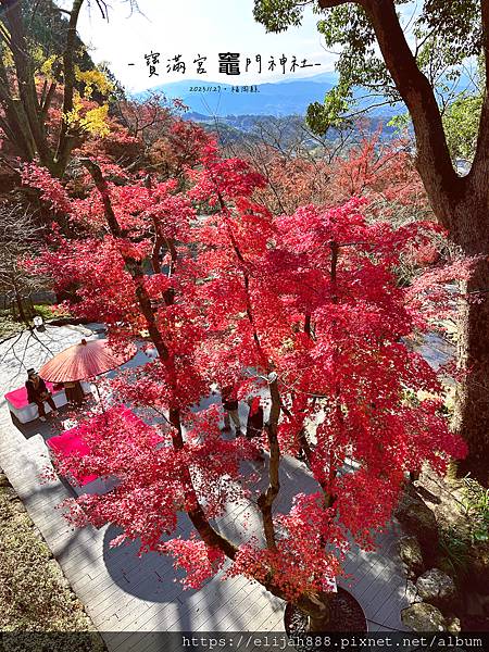 【2023九州狩獵紅葉-1】Budget租車/海老味拉麵 お