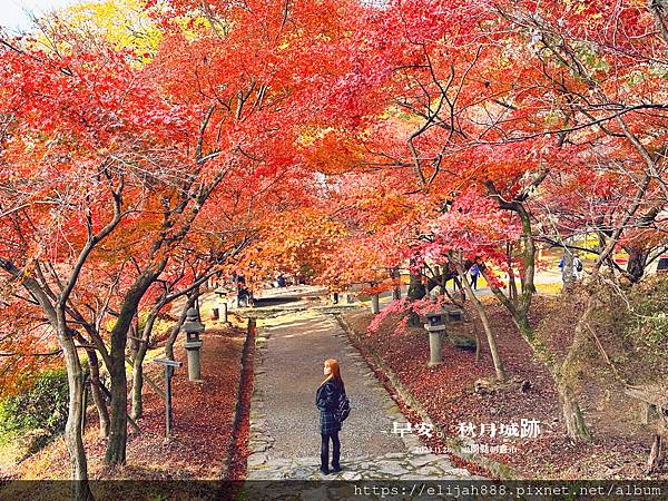 【2023狩獵紅葉。福岡朝倉秋月】秋月城跡/秋月中學校/垂裕