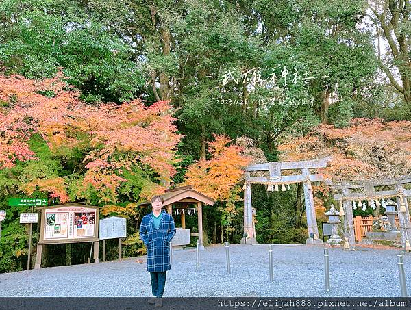 【2023狩獵紅葉。佐賀縣武雄市】連續3年九州第一A5佐賀牛