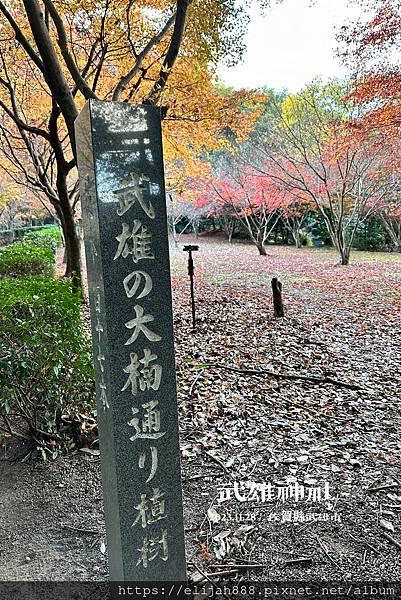 【2023狩獵紅葉。佐賀縣武雄市】連續3年九州第一A5佐賀牛