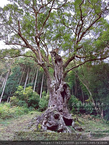 【2023狩獵紅葉。佐賀縣武雄市】連續3年九州第一A5佐賀牛