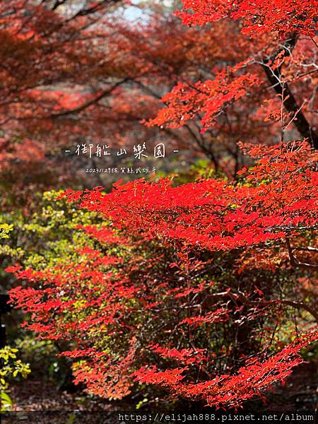 【2023九州狩獵紅葉。佐賀縣武雄市】武雄圖書館/御船山樂園