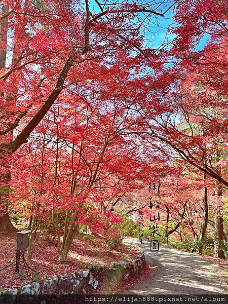 【2023九州狩獵紅葉。佐賀縣武雄市】武雄圖書館/御船山樂園