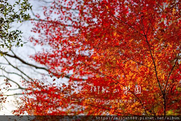 【2023九州狩獵紅葉。佐賀縣武雄市】武雄圖書館/御船山樂園