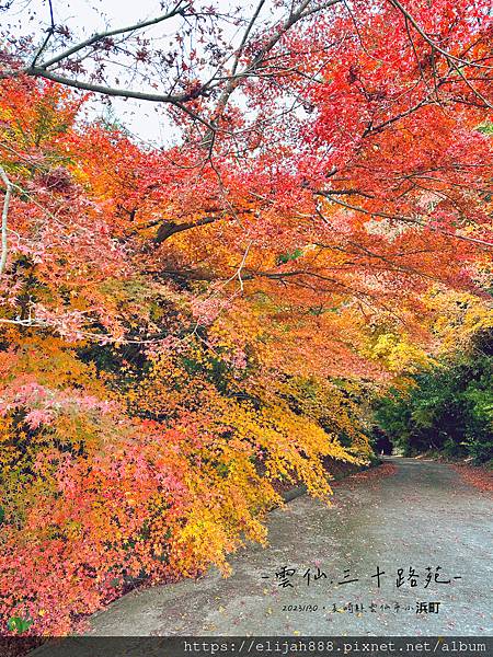 【2023九州狩獵紅葉。長崎縣雲仙市】雲仙地獄/雲仙溫泉神社