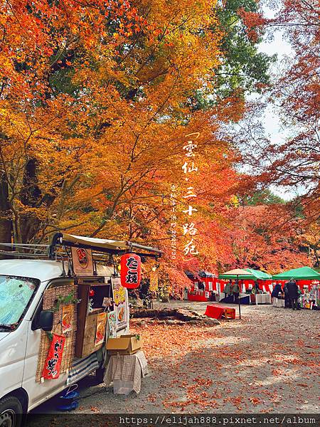 【2023九州狩獵紅葉。長崎縣雲仙市】雲仙地獄/雲仙溫泉神社