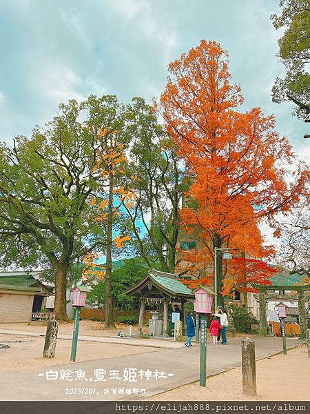 【2023九州狩獵紅葉。嬉野溫泉半日遊】公眾浴湯─西博爾德溫