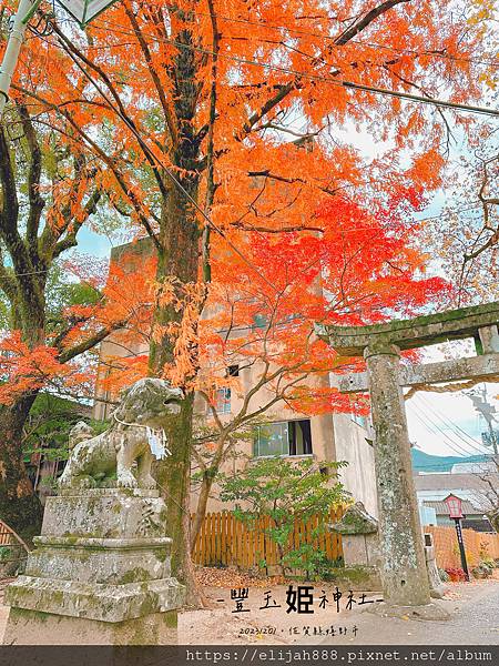 【2023九州狩獵紅葉。嬉野溫泉半日遊】公眾浴湯─西博爾德溫