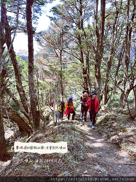 【丹大林道.六順山.七彩湖】六順山.海拔3009公尺/波波草