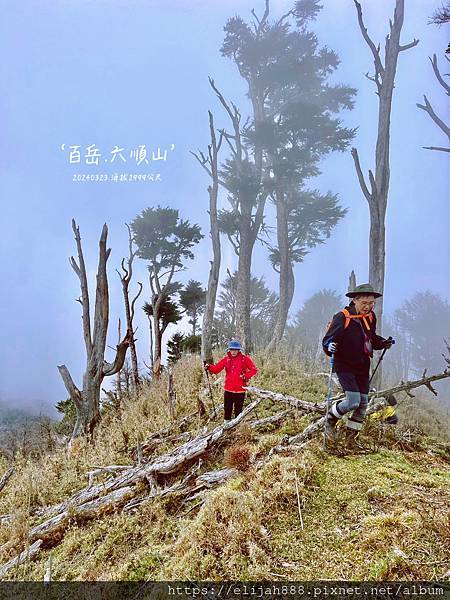 【丹大林道.六順山.七彩湖】六順山.海拔3009公尺/波波草