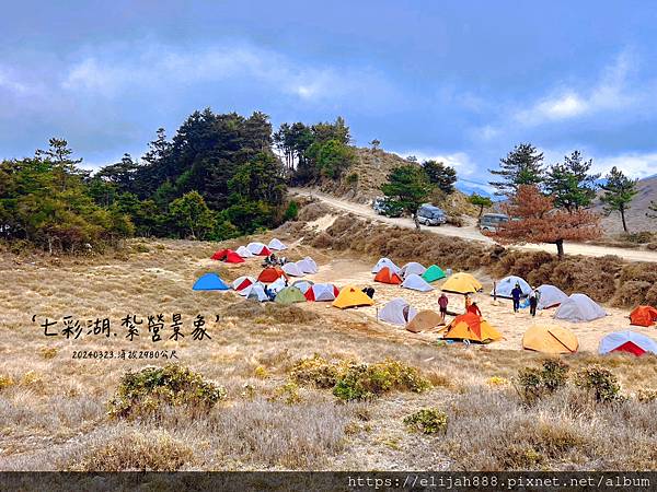 【丹大林道.六順山.七彩湖】六順山.海拔3009公尺/波波草