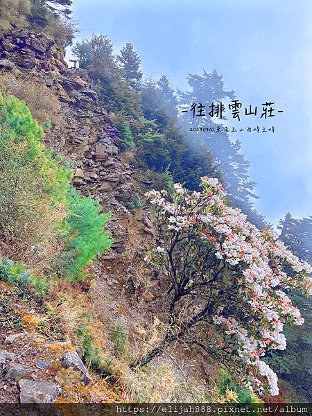 【玉山主峰西峰.兩天兩夜】南投縣信義鄉的望鄉部落艾度民宿/塔