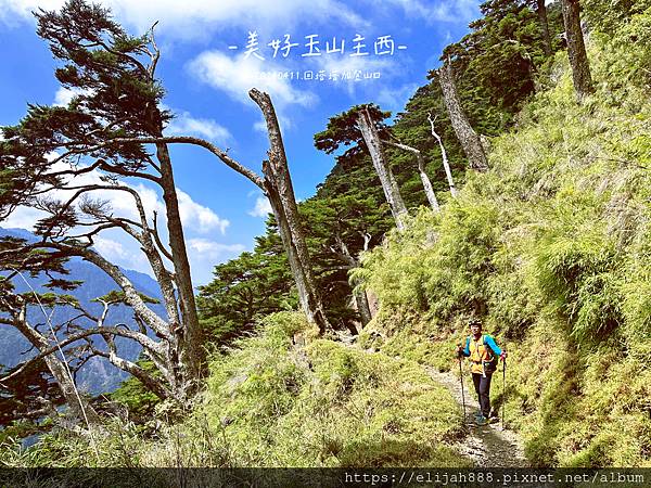 【玉山主峰西峰.兩天兩夜】冷到爆炸的玉山主峰賞雲海/一直走花