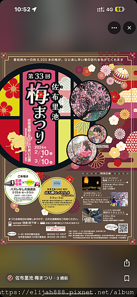 【2024春遊愛知縣知多半島景點&住宿】愛知縣最大梅花祭.佐