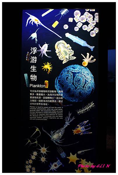 1010921-國立海洋生物博物館+潮州牛肉福-16
