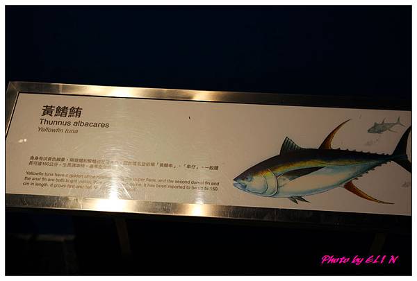 1010921-國立海洋生物博物館+潮州牛肉福-21