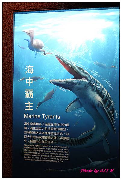 1010921-國立海洋生物博物館+潮州牛肉福-27
