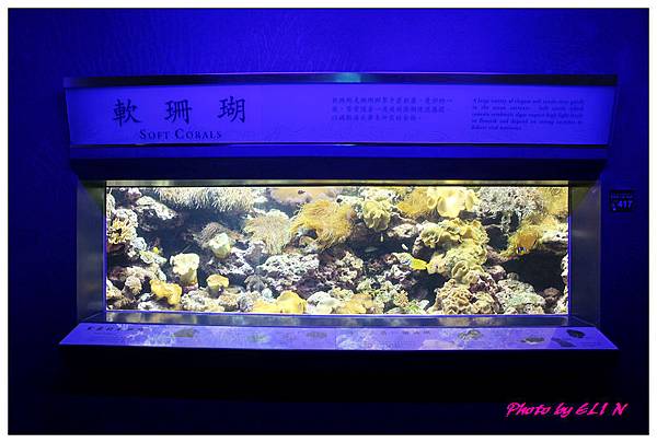 1010921-國立海洋生物博物館+潮州牛肉福-38